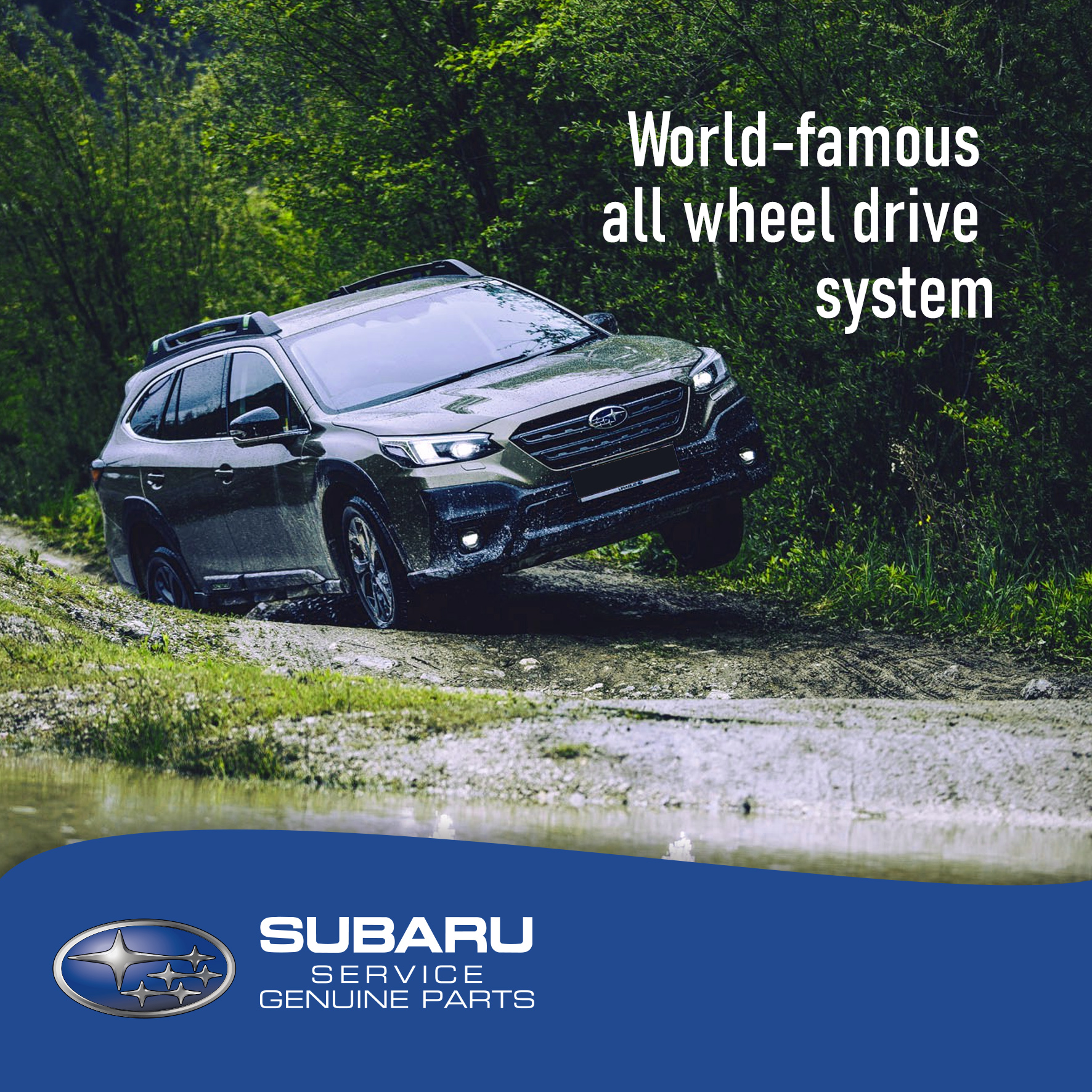 You are currently viewing Subaru Outback